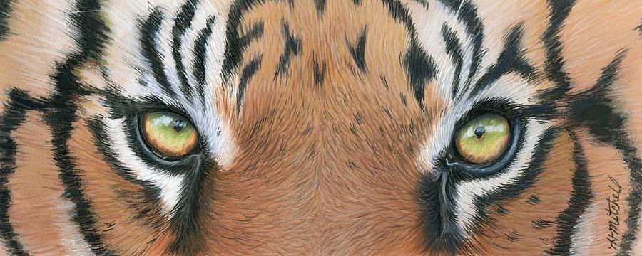 Tiger Eyes Drawing by Heather Mitchell