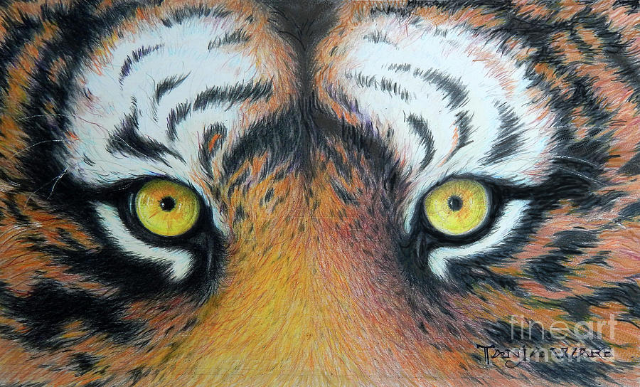 Tiger Eyes Painting By Tanja Ware