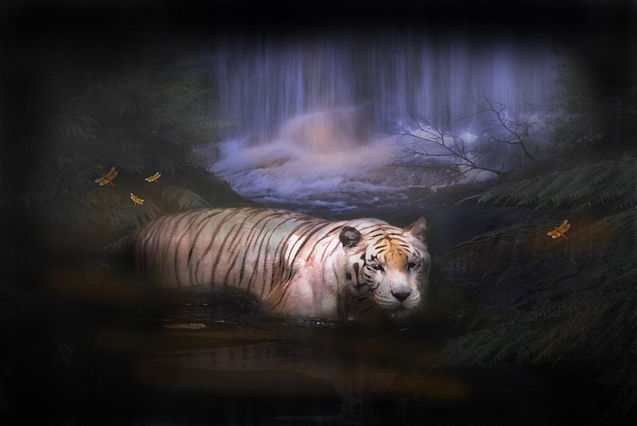Tiger Falls Digital Art by Sue Masterson
