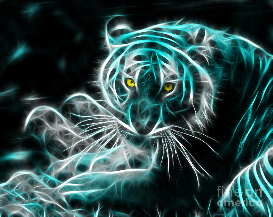 Tiger Glow Photograph by David Greatorex - Pixels