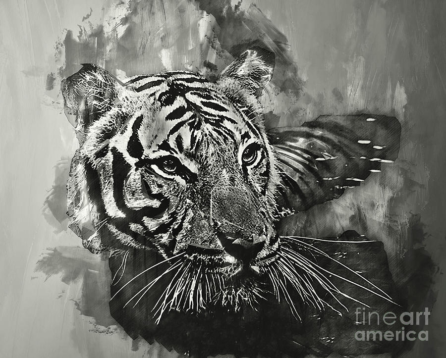Tiger Head monochrome Photograph by Jack Torcello