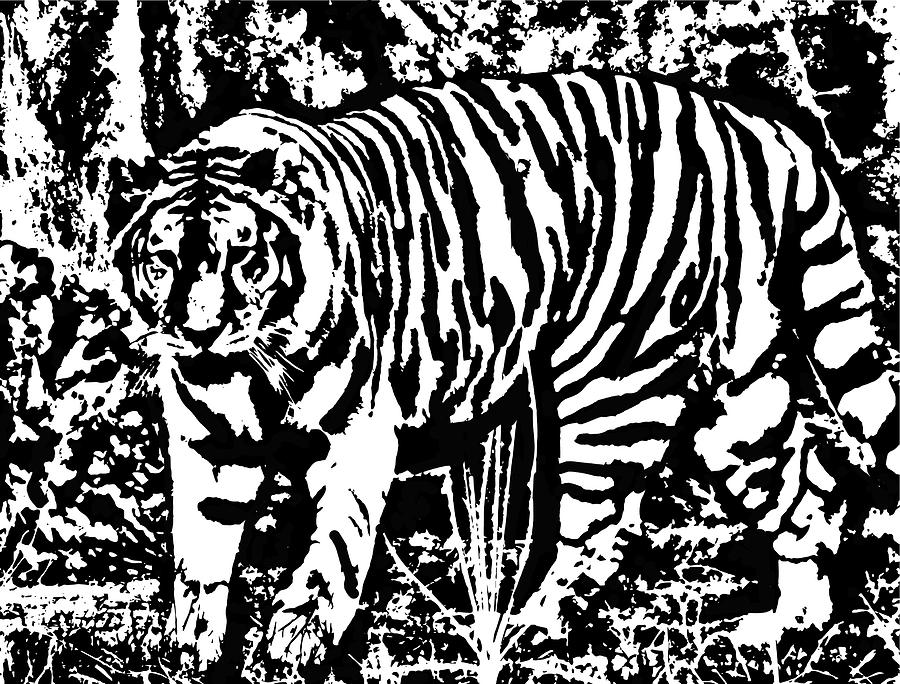 Jungle Digital Art - Tiger in Black and White by Cathy Harper