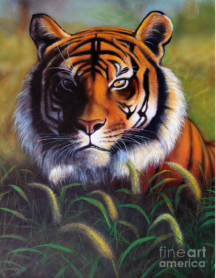 Wildlife Painting - Tiger in tall grass by Jon Quinn
