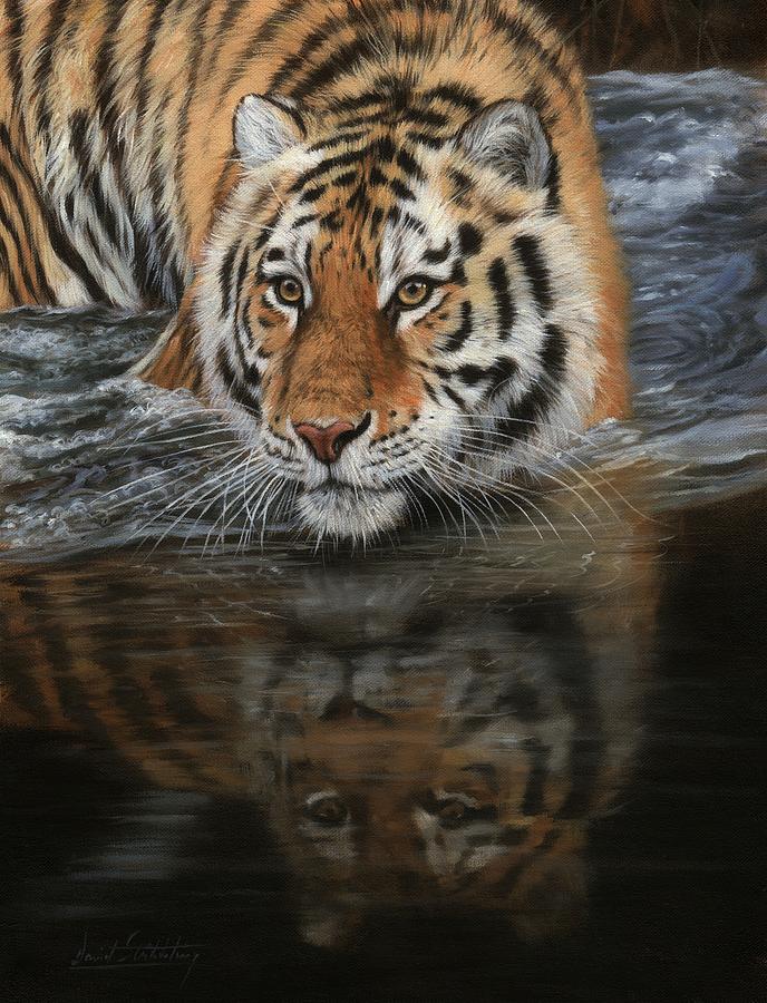 Tiger In Water Painting by David Stribbling