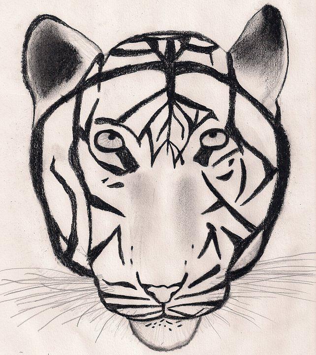 Tiger Drawing - Tiger by Justin Dierdorf