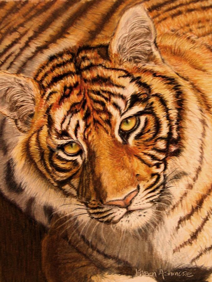 Tiger Drawing by Karen Ilari