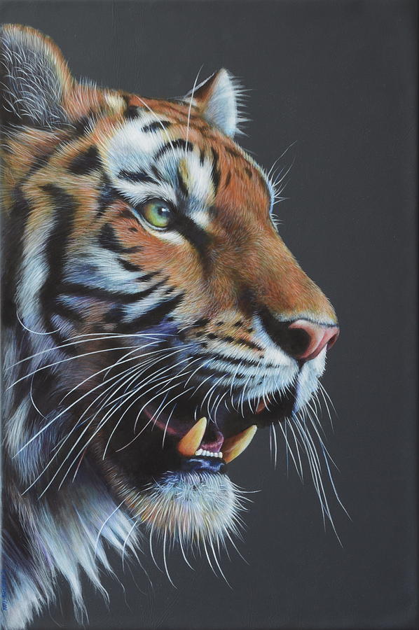 Tiger Painting by Karl Hamilton-Cox