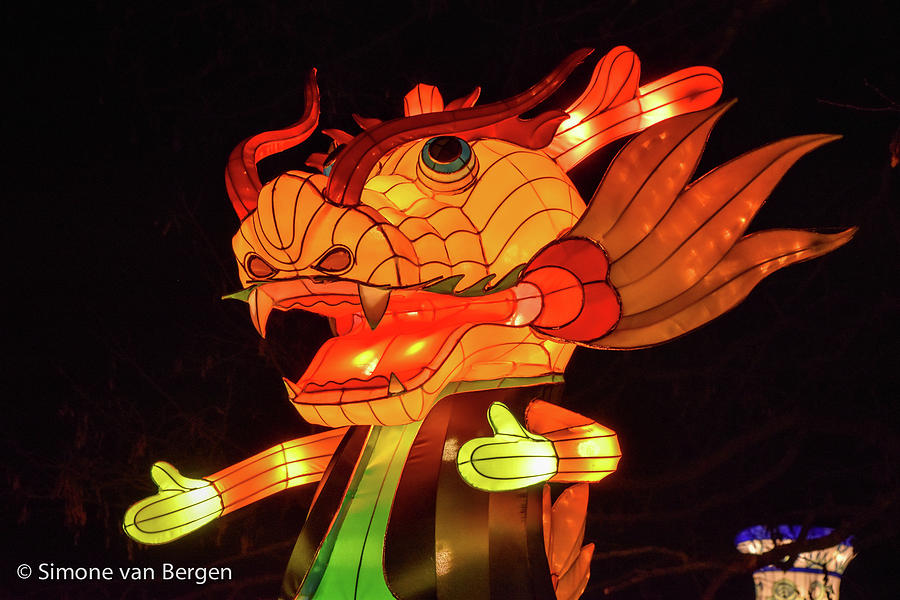 Tiger Lantern Photograph by Simone Van Bergen - Fine Art America