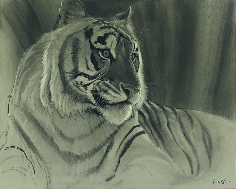 Black And White Digital Art - Tiger Light by Aaron Blaise