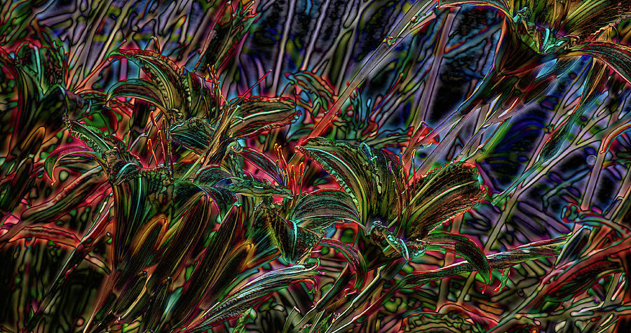 Abstract Photograph - Tiger Lilies by Jeff Sebaugh