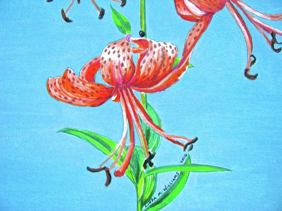 Tiger Lily 1 Drawing by Linda Williams