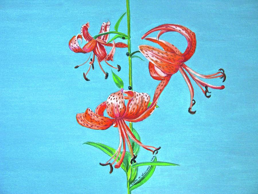 Tiger Lily 4 Drawing by Linda Williams
