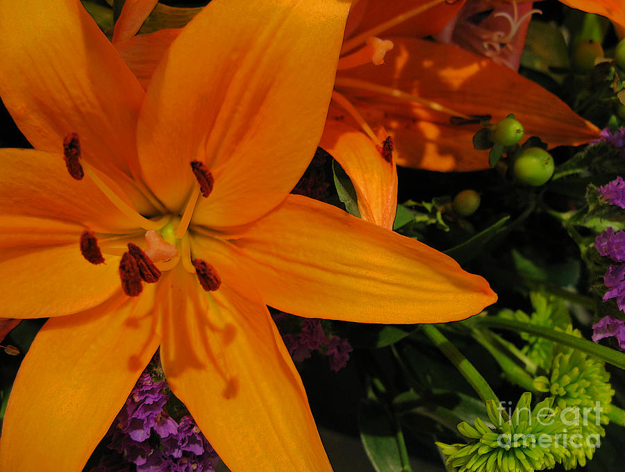 Nature Photograph - Tiger Lily Bouquet by Ann Horn