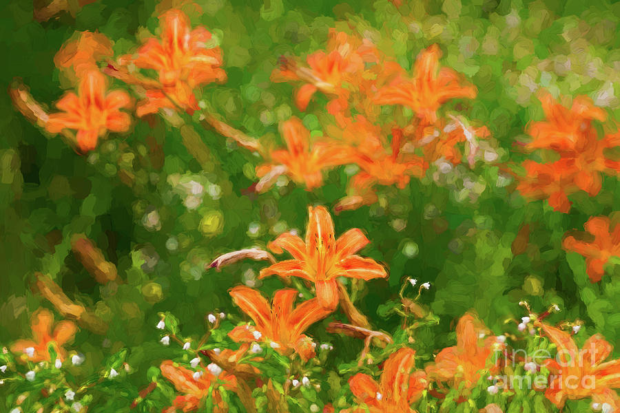 Tiger lily flowers - painterly Photograph by Les Palenik