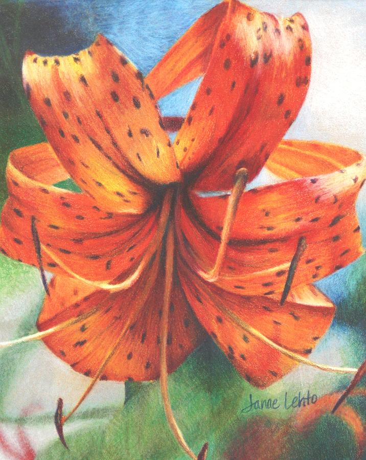 Tiger Lily Painting by Janae Lehto