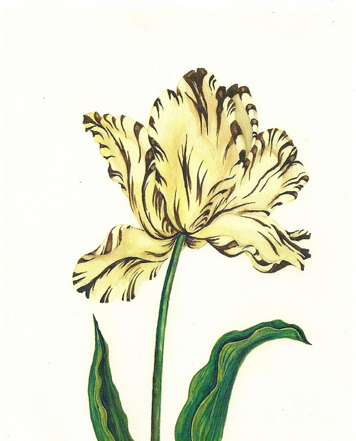 Striped Tulip Painting by Margaryta Yermolayeva
