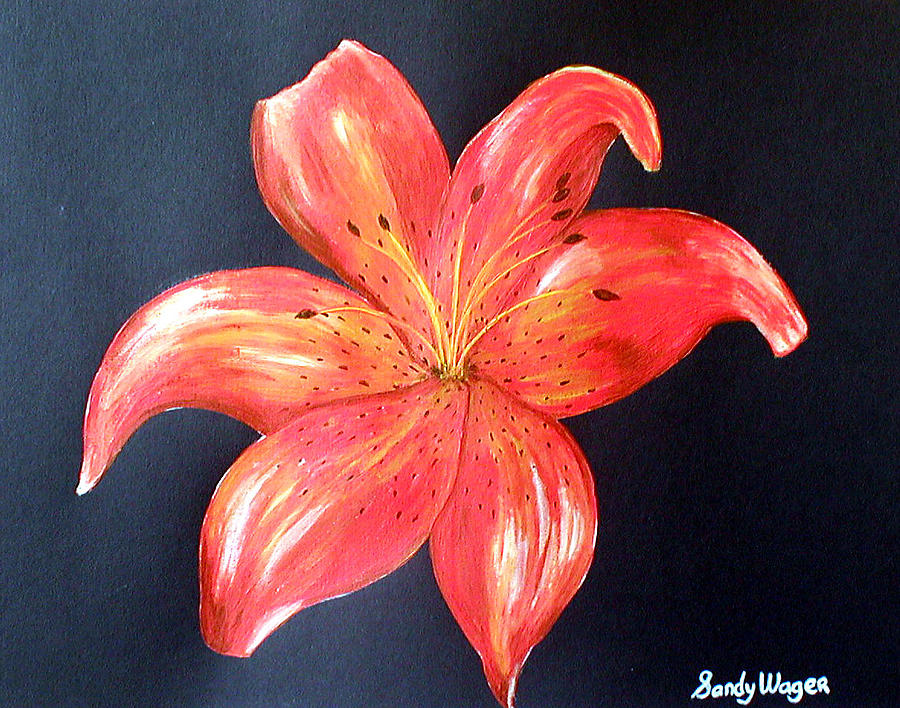 Nature Painting - Tiger Lily by Sandy Wager