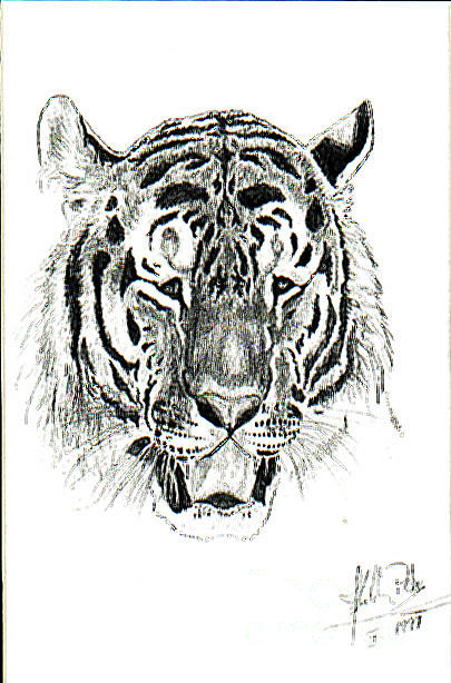 Tiger Look Painting by Peter Kulik - Fine Art America