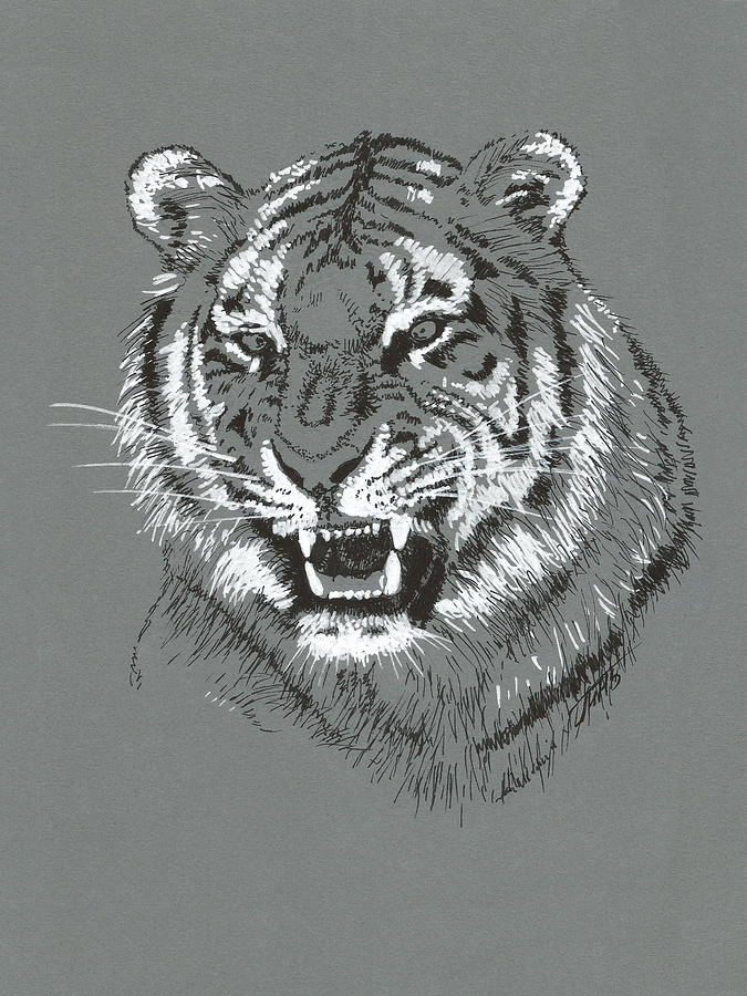 Tiger Painting by Masha Batkova