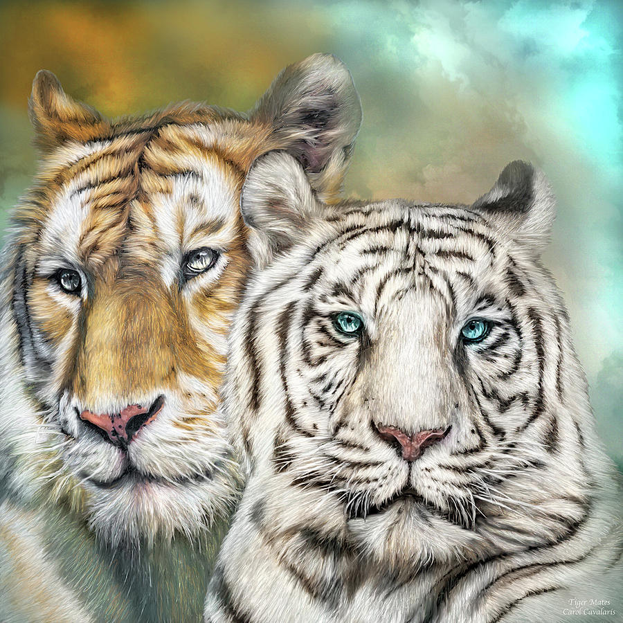 Tiger Mates Mixed Media by Carol Cavalaris