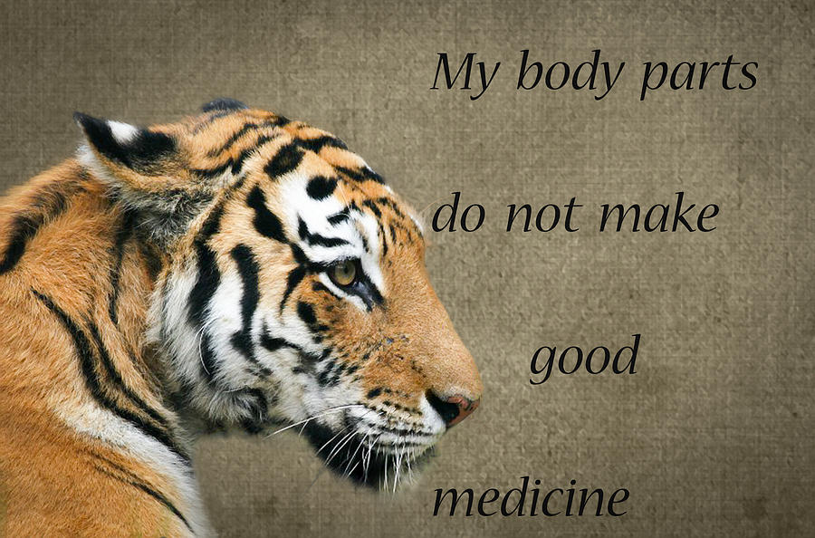 Tiger Medicine Digital Art by Roy Pedersen