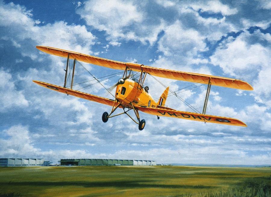 Tiger Moth - Wind beneath my Wings Painting by Colin Parker