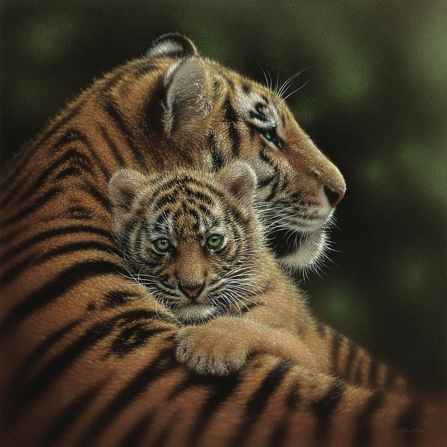 Tiger Mother and Cub - Cherished Painting by Collin Bogle