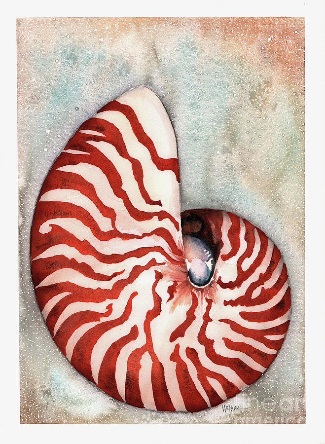 Tiger Nautilus Painting by Hilda Wagner