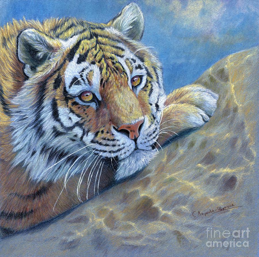 Tiger on the Rock Drawing by Svetlana Ledneva-Schukina