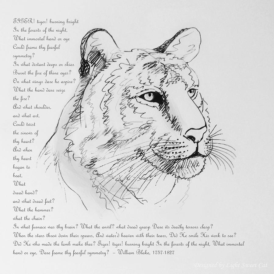 William Blake Drawing - The Tiger #2 by Pookie Pet Portraits