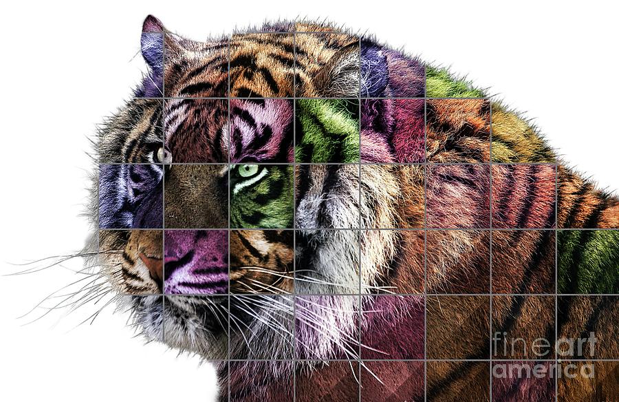 Tiger Pop Art Digital Art