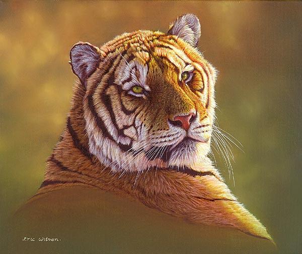 Wildlife Painting - Tiger Portrait in oils by Eric Wilson