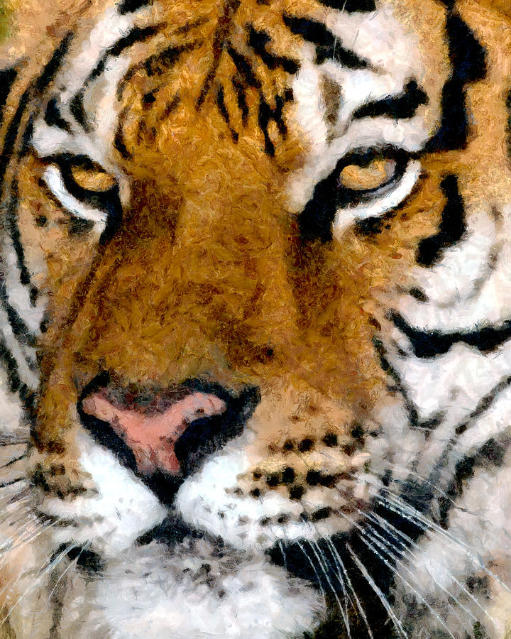 Tiger Portrait Digital Art by Ronald Bolokofsky