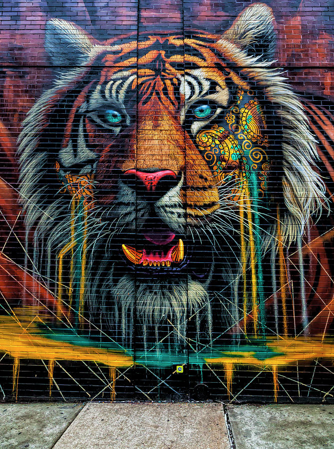 Tiger Portrait Street Art Nyc Photograph
