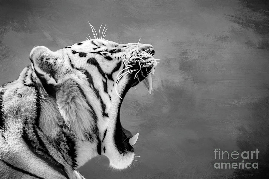 Tiger profile BW Photograph by Joseph Miko