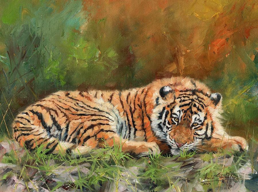 Tiger Repose Painting by David Stribbling