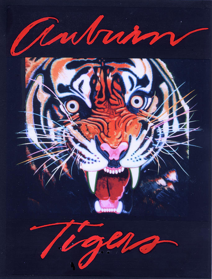 Tiger Mixed Media - Tiger by Rich Richardson