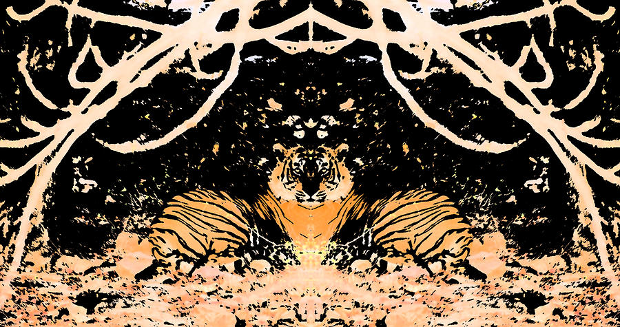 Tiger Rorschach 2 Photograph by Max Waugh
