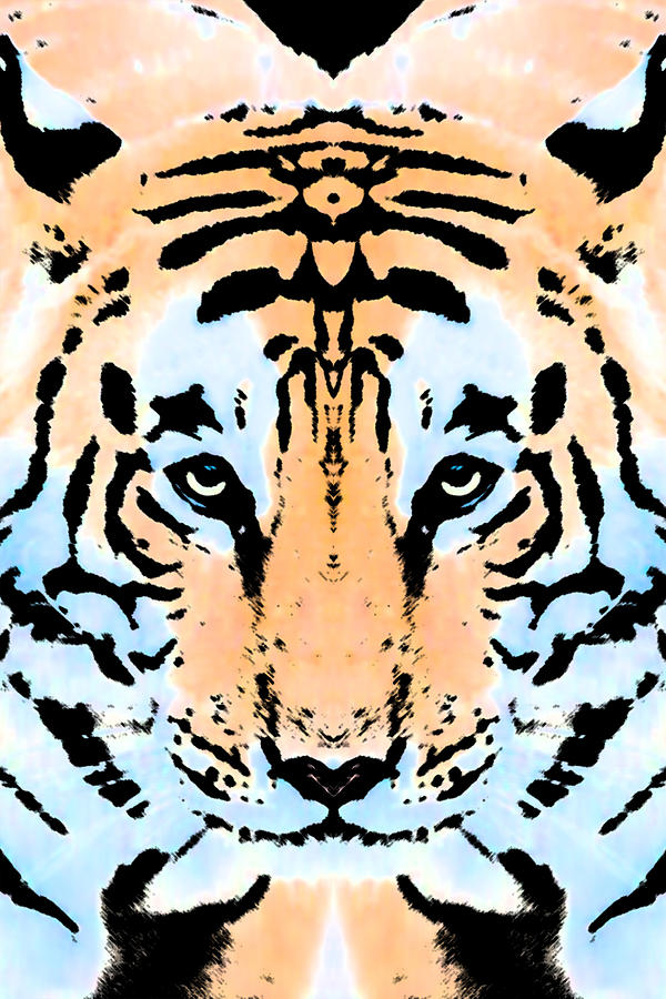 Tiger Rorschach Photograph by Max Waugh