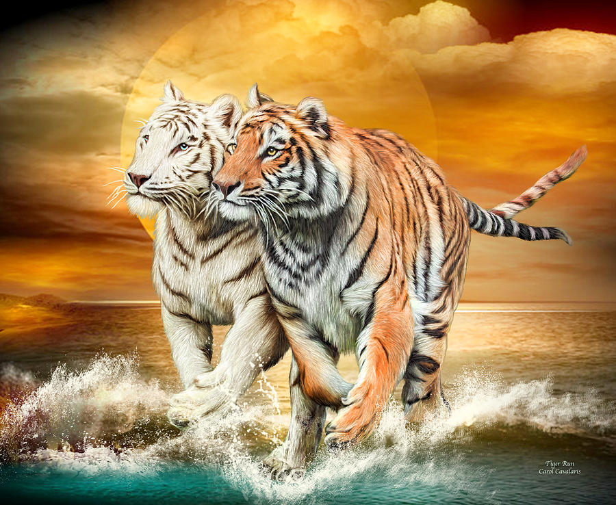 Tiger Run Mixed Media by Carol Cavalaris