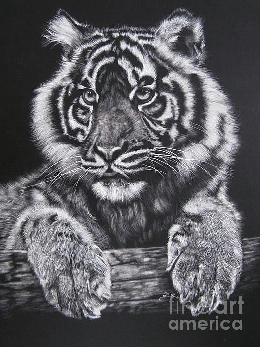 Wildlife Painting - Tiger by Sabine Lackner