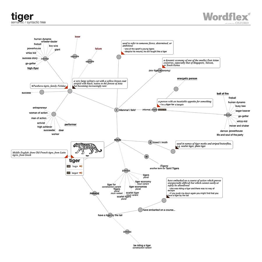Tiger semantic tree Digital Art by Vincent Monozlay