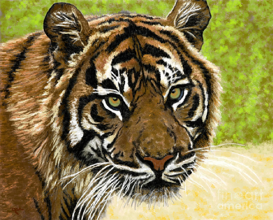 Tiger Smiles Painting by Jackie Case