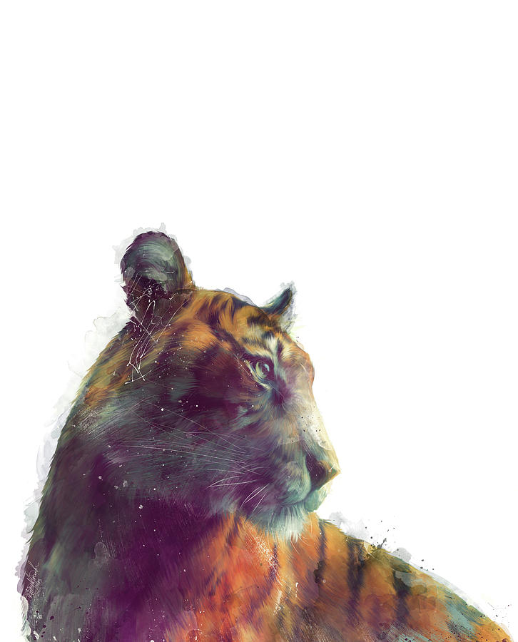 Tiger Painting - Tiger // Solace - White Background by Amy Hamilton