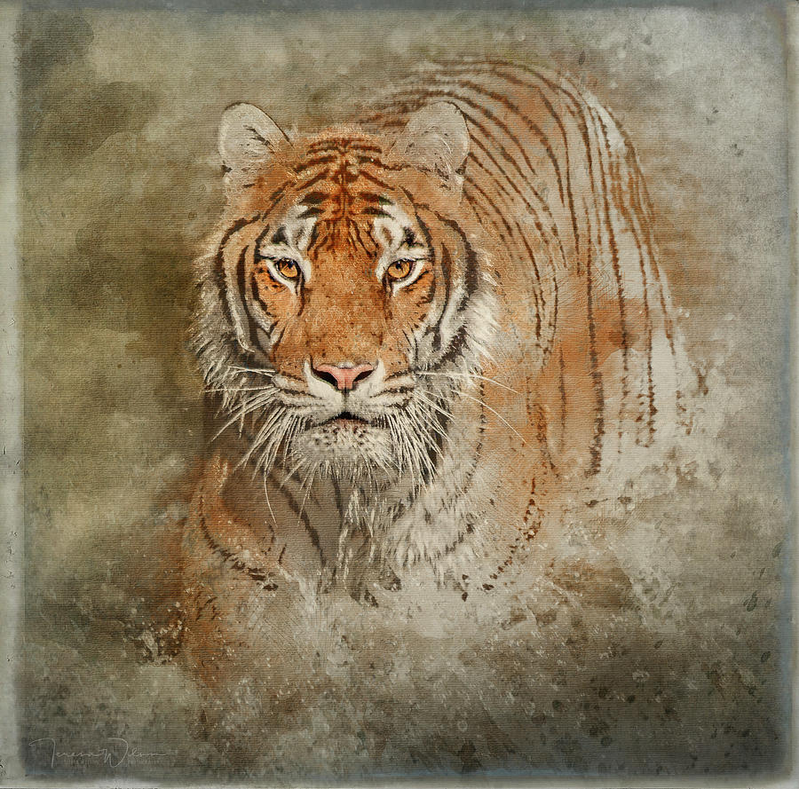 Tiger Splash Mixed Media by Teresa Wilson