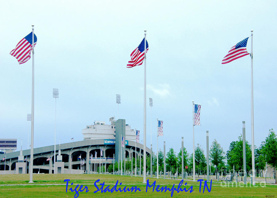 Tiger Stadium Memphis TN Photograph by Lizi Beard-Ward