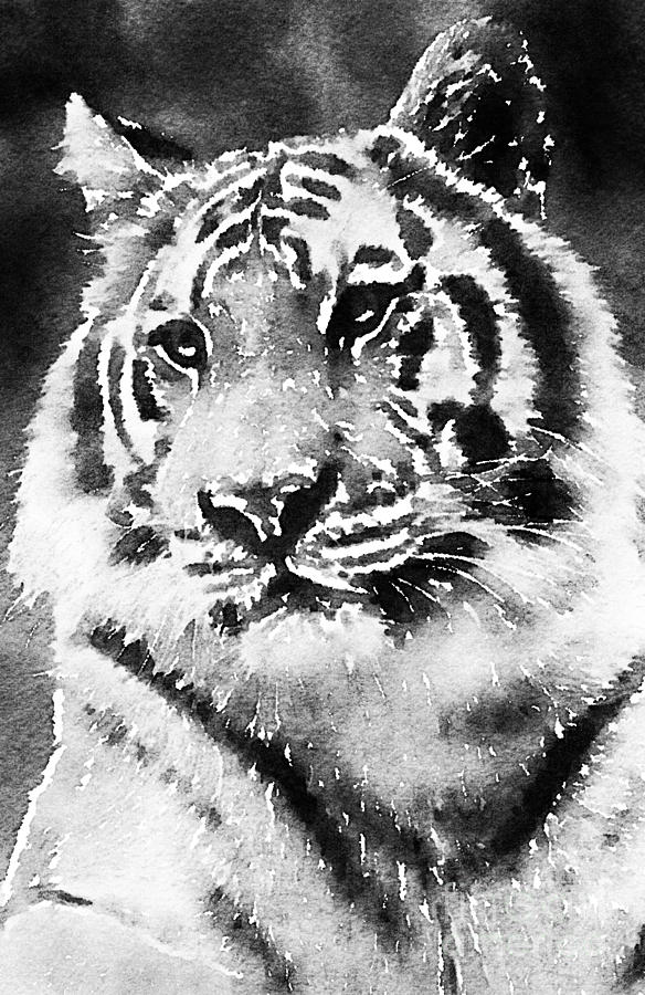 Tiger Stripes Photograph by Chris Scroggins