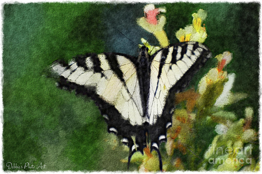  Tiger Swallowtail Butterfly 3 Photograph by Debbie Portwood