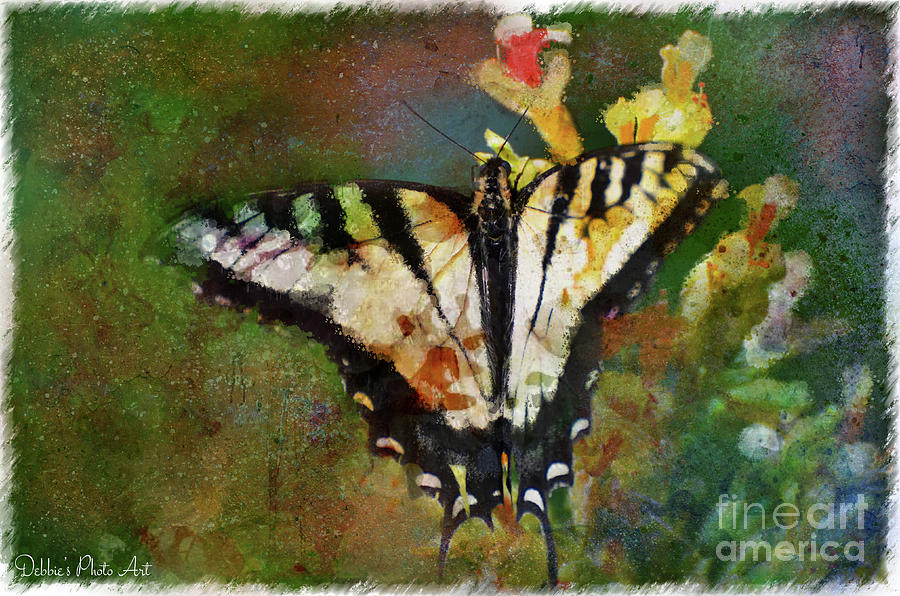 Tiger Swallowtail Butterfly 6 Photograph by Debbie Portwood