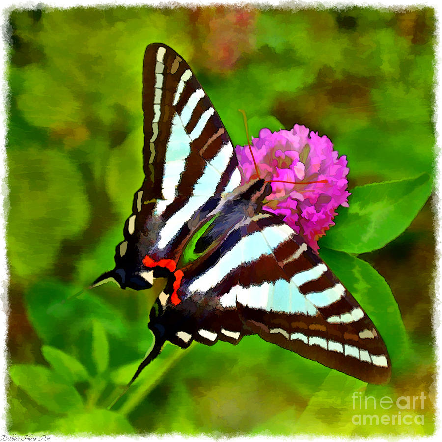  Zebra Swallowtail Butterfly - Digital Paint 2 Photograph by Debbie Portwood